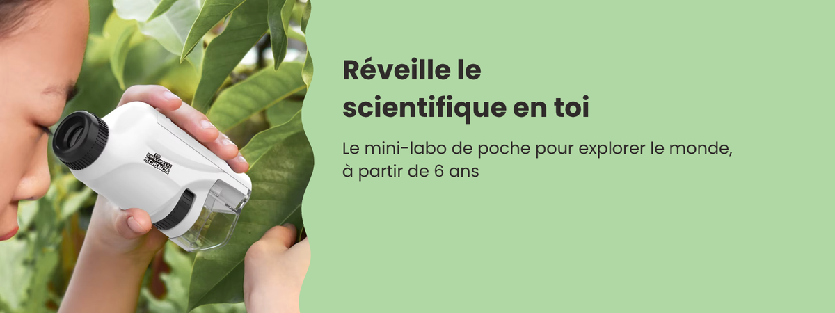 Bannière